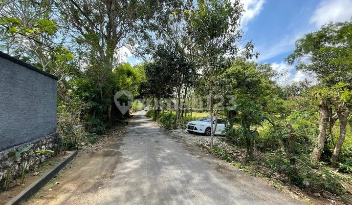 Good Location Land Near the Beach, Suitable for Villas in Pecatu, Bali