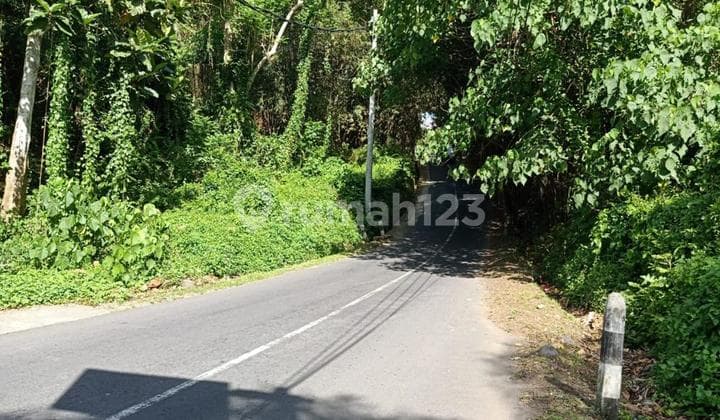 Tanah Hak Milik Lokasi Strategis di Jalan Raya Ubud, Bali