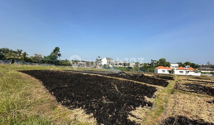 Tanah Langka Cocok Dibangun Villa di Pererenan Canggu, Bali