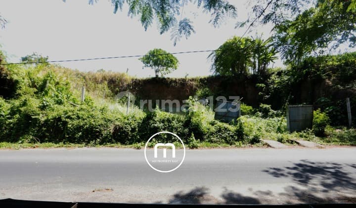 Tanah Lokasi Strategis Dan Langka Di Tegenungan Sukawati, Bali