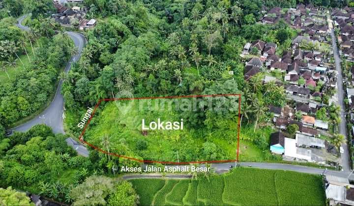 Tanah Strategis View Cantik Di Pejeng Dekat Ke Central Ubud, Bali