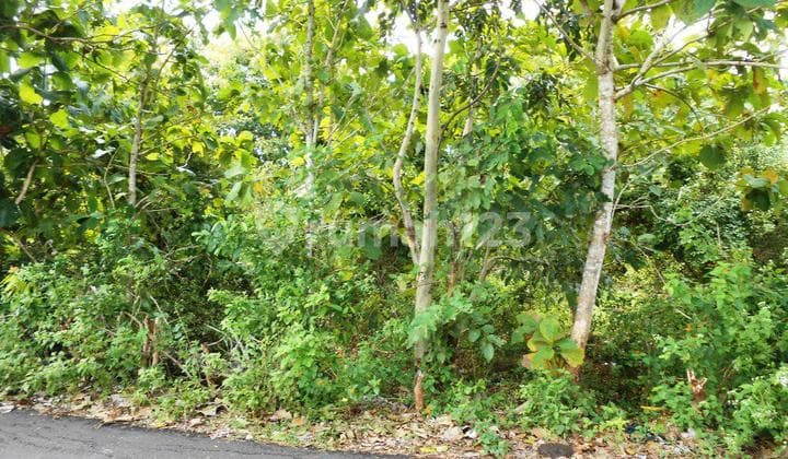 Land Location Near the Beach on the Main Road of Balangan Beach, Bali