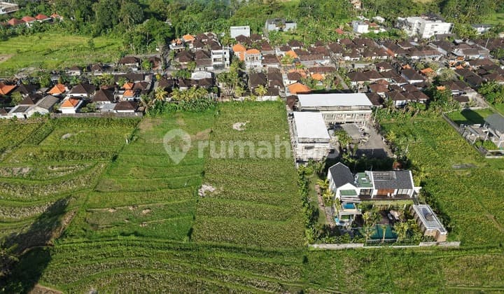 Tanah Hak Milik Nyanyi Dekat The Luna Beach, Bali