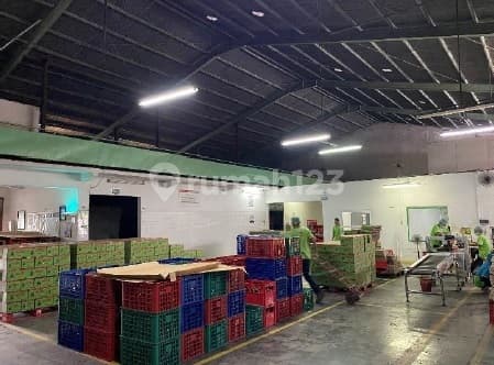 Pabrik Probolinggo Jawa Timur