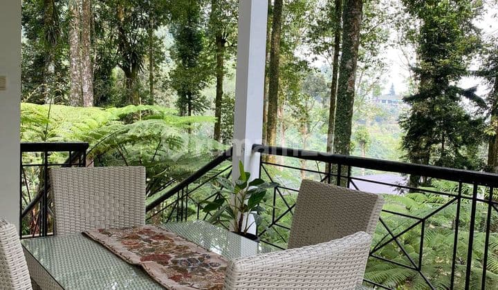 Dijual Villa Mewah 9Kt Ada Pool 30Menit Dari Pusat Kota Bogor