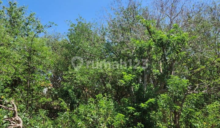 PASTI CLOSING DI JUAL TANAH LOKASI PANDAWA KUTUH KUTA SELATAN BADUNG