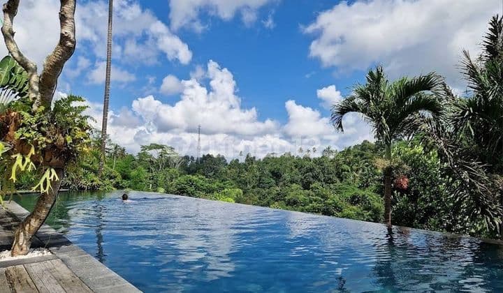 Pasti Deal Di Jual Villa View Hutan & Sungai Lokasi Tegallalang Ubud Gianyar