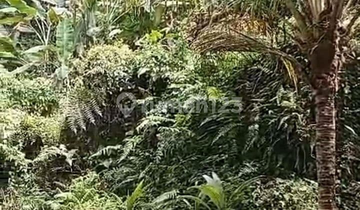 PASTI CLOSING DI JUAL TANAH LOSS SUNGAI LOKASI PANDAK GEDE KEDIRI TABANAN