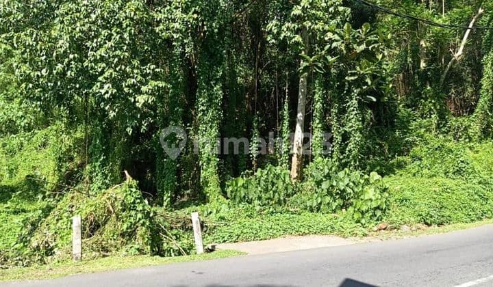 PASTI CLOSING DI JUAL TANAH LOKASI PEJENG KAWAN UBUD GIANYAR