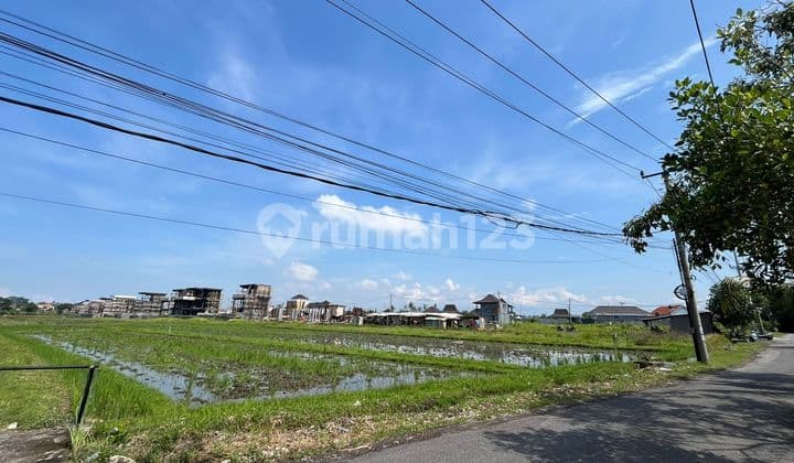 PASTI CLOSING DI SEWAKAN TANAH PANTAI LIMA PERERENAN CANGGU KUTA UTARA BADUNG