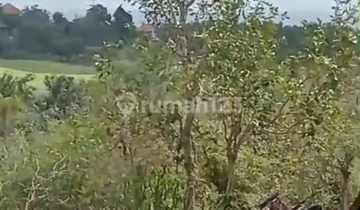 SURE CLOSING FOR SALE LAND WITH SEA VIEW LOCATION BALANGAN JIMBARAN SOUTH KUTA BADUNG