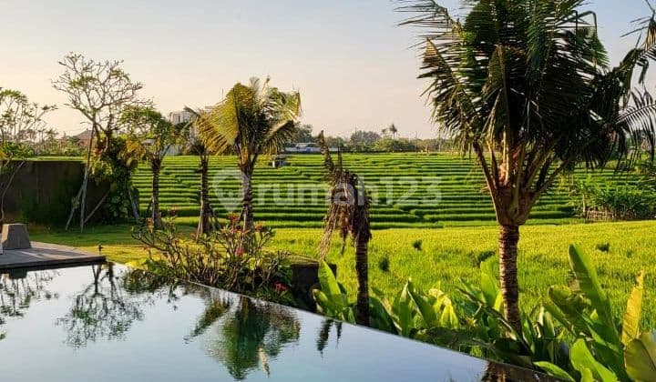 Pasti Closing Di Jual Luxury Villa Lokasi Mangening Cemagi Mengwi Badung
