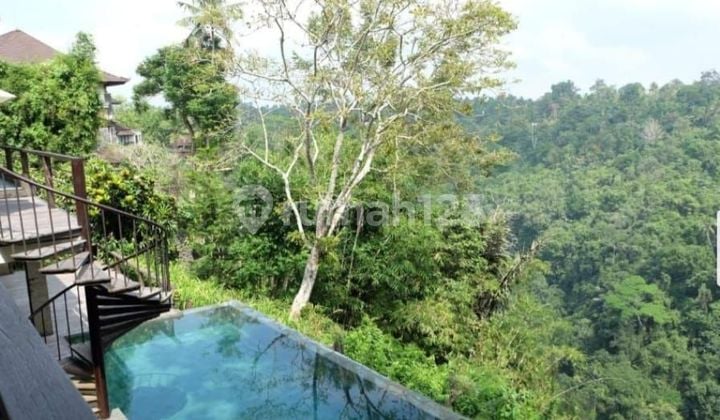 Pasti Closing Di Jual Villa Loss Sungai View Bukit Watu Karu Lokasi Payangan Ubud Gianyar