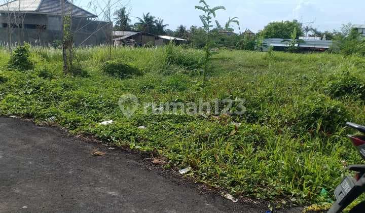 Certainly Closing Leased Land Loss River Location Mas Ubud Gianyar