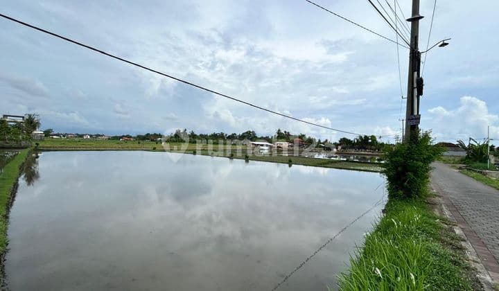 Pasti Closing Di Jual Tanah View Sawah Lokasi Kedungu Belalang Tabanan