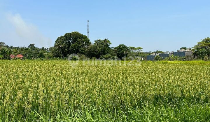 MUST SELL LAND BY THE ROAD IN NYANYI BERABAN, KEDIRI, TABANAN