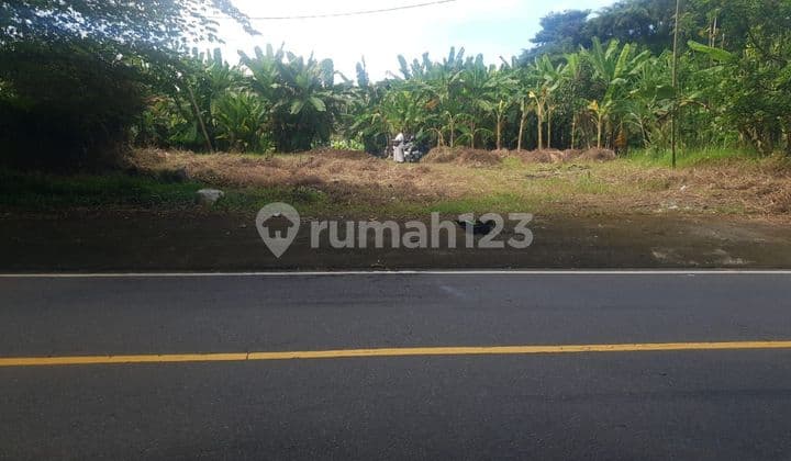 SURELY CLOSED FOR RENT LAND WITH RIVER VIEW RICE FIELDS ON THE ROAD SIDE, LOCATION AT TAMPAK SIRING UBUD GIANYAR