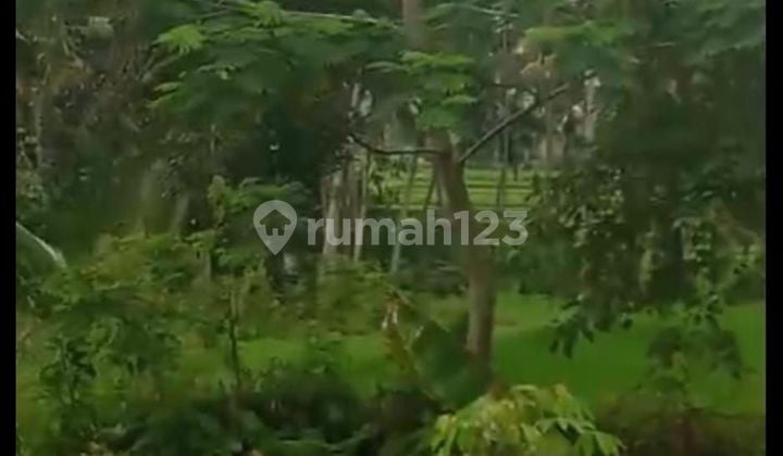 PASTI CLOSING DI JUAL TANAH LOKASI PEJENG UBUD GIANYAR