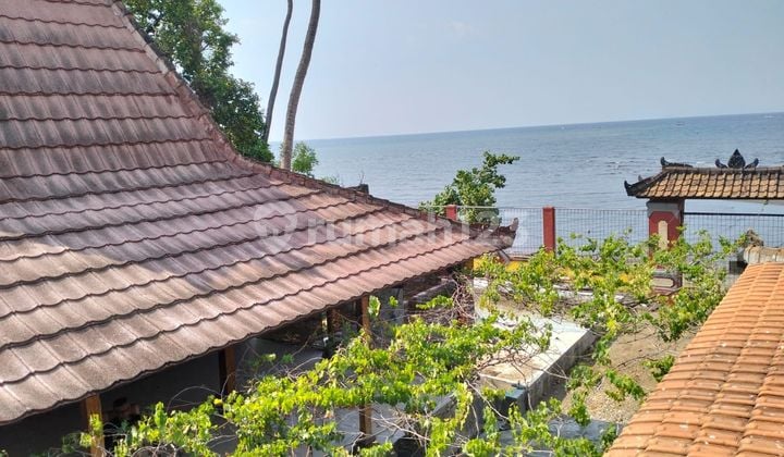 Pasti Closing Di Jual Rumah Loss Pantai View Laut Lokasi Lovina Buleleng
