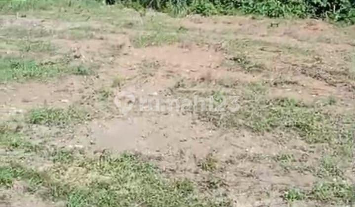 PASTI CLOSING DI JUAL TANAH LOKASI BONA GIANYAR