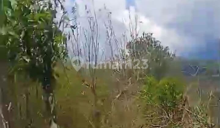 PASTI CLOSING DI JUAL TANAH VIEW DANAU LOKASI BATUR SELATAN KINTAMANI BANGLI