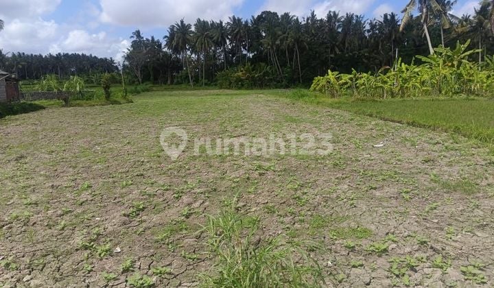 PASTI CLOSING DI JUAL TANAH VIEW SAWAH LOKASI BURUAN BLAHBATUH GIANYAR