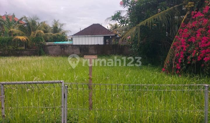 PASTI CLOSING DI JUAL TANAH VIEW SAWAH LOKASI GELOGOR LODTUNDUH UBUD GIANYAR