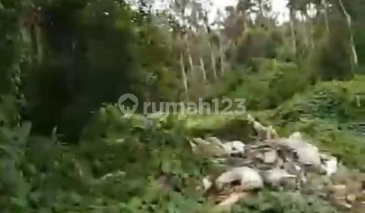 PASTI CLOSING DI JUAL TANAH LOKASI TEBONGKANG UBUD GIANYAR