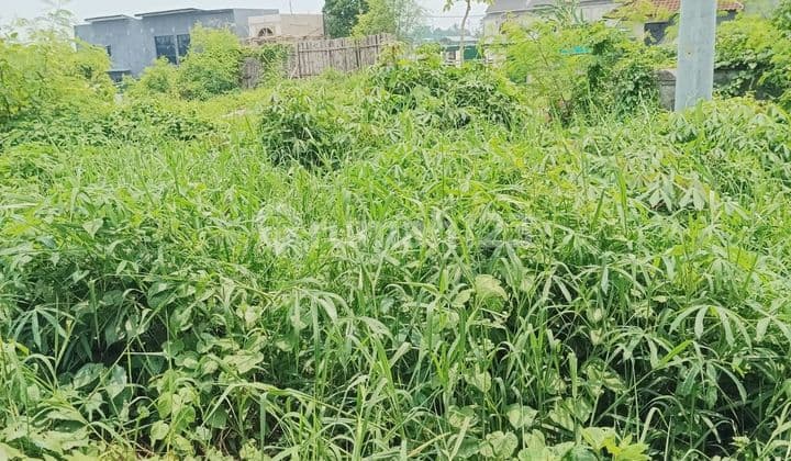 PASTI CLOSING DI SEWAKAN TANAH PINGGIR JALAN LOKASI MUNGGU KAPAL MENGWI BADUNG