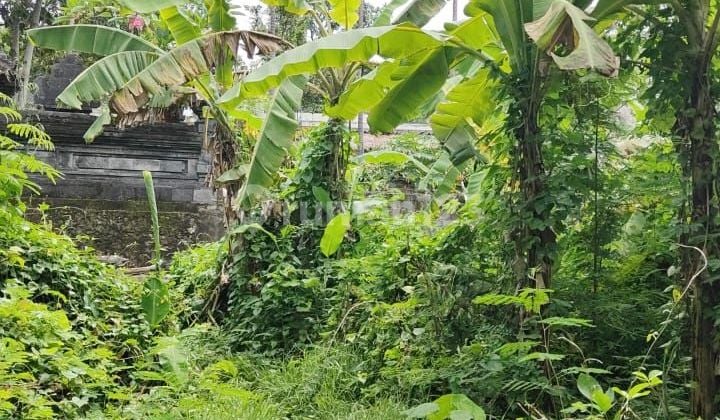 PASTI CLOSING DI SEWAKAN TANAH LOSS SUNGAI LOKASI SEMER KEROBOKAN KUTA UTARA BADUNG