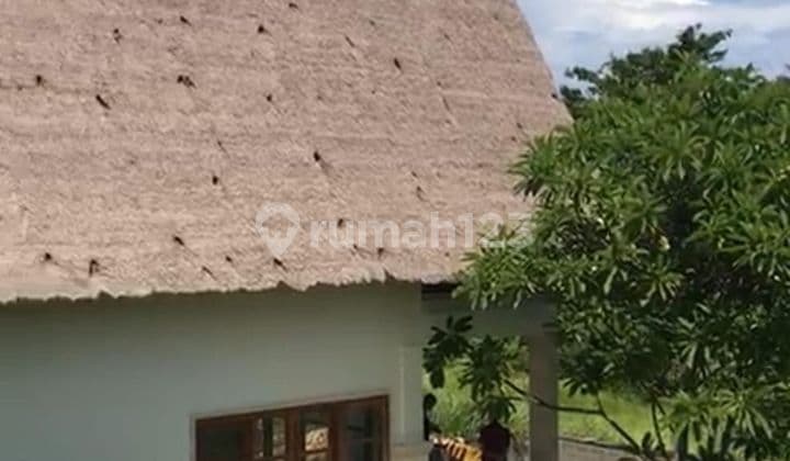 Pasti Closing Di Jual Villa View Laut Lokasi Seririt Buleleng