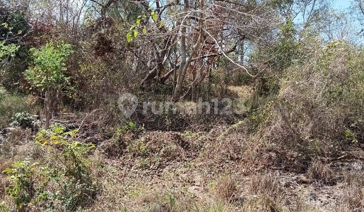 PASTI CLOSING DI SEWAKAN TANAH VIEW LAUT LOKASI BATU NUNGGUL PECATU KUTA SELATAN BADUNG