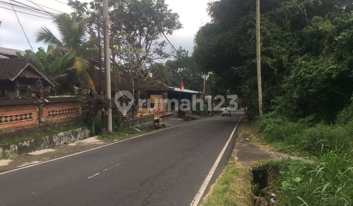 PASTI CLOSING DI JUAL TANAH VIEW SAWAH LOKASI TEGALLALANG UBUD GIANYAR