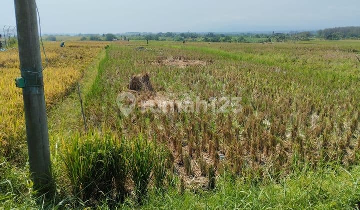 SURE DEAL ON LAND FOR SALE LOCATION KELATING KERAMBITAN TABANAN