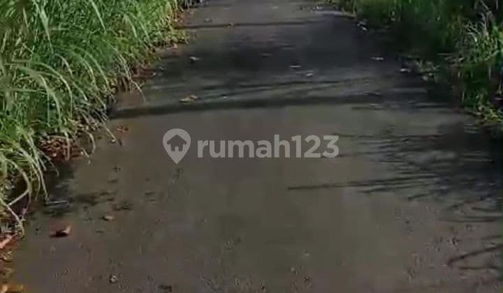 PASTI CLOSING DI JUAL TANAH LOKASI KELIKI UBUD GIANYAR