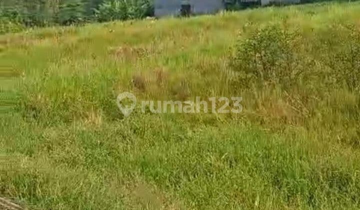 PASTI CLOSING DI SEWAKAN TANAH VIEW SUNGAI LOKASI SESEH MUNGGU MENGWI BADUNG