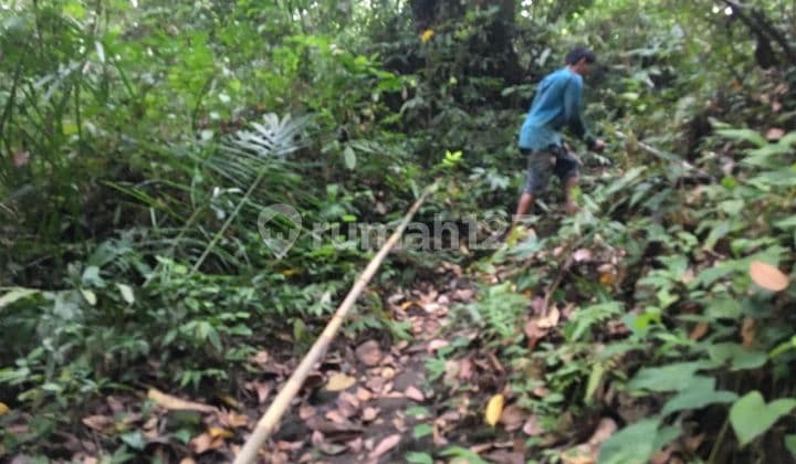 PASTI CLOSING DI JUAL TANAH LOKASI PANDAK BANDUNG TANAH LOT TABANAN