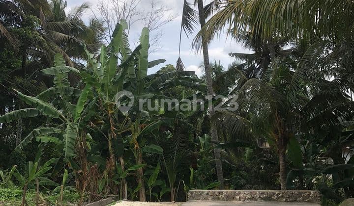 PASTI CLOSING DI JUAL TANAH LOSS SUNGAI VIEW SAWAH LOKASI UBUD GIANYAR