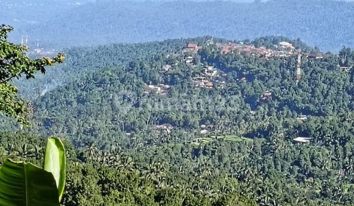 PASTI CLOSING DI JUAL TANAH VIEW LAUT & SAWAH LOKASI MUNDUK BANJAR BULELENG