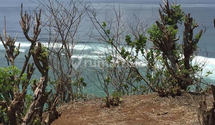 PASTI CLOSING DI JUAL TANAH LOSS TEBING VIEW LAUT LOKASI PANDAWA KUTUH UNGASAN KUTA SELATAN BADUNG