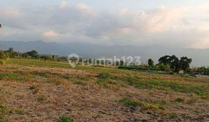 SURE CLOSING FOR SALE LAND NEAR THE BEACH WITH SEA VIEW LOCATION KALISADA SERIRIT BULELENG