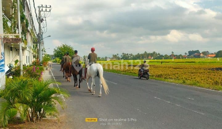 PASTI CLOSING
DI JUAL TANAH LOKASI PANGKUNG TIBAH KEDUNGU KEDIRI TABANAN