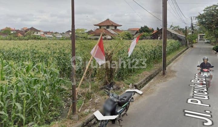 PASTI CLOSING DI SEWAKAN TANAH LOKASI PUCUK BANG DENPASAR TIMUR