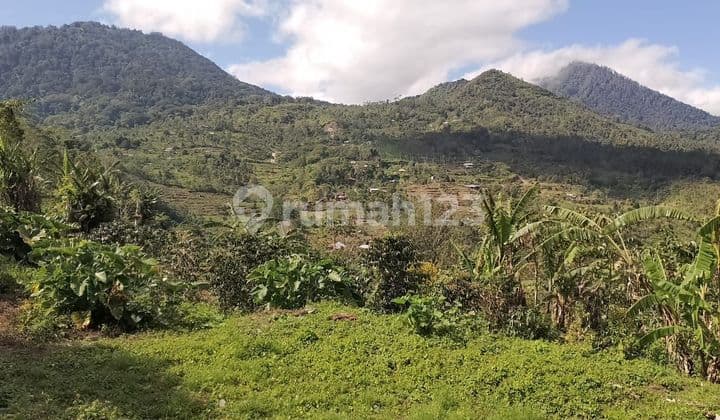PASTI CLOSING DI JUAL TANAH VIEW LAUT & LEMBAH LOKASI MUNDUK BULELENG