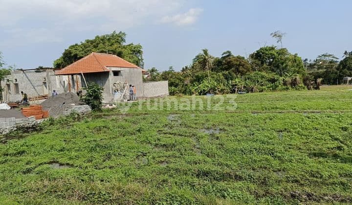 PASTI CLOSING DI SEWAKAN TANAH LOKASI NYANYI BERABAN TABANAN