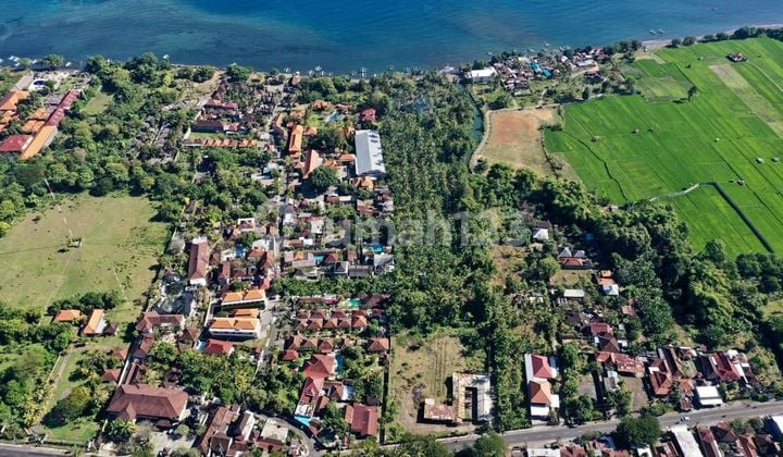 SURE CLOSING FOR SALE LAND WITH LOSS BEACH VIEW SEA CENTRAL LOCATION LOVINA BULELENG