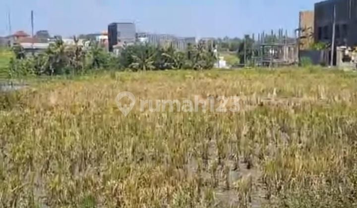 CERTAIN CLOSING LAND FOR RENT IN CEMAGI MENGWI BADUNG