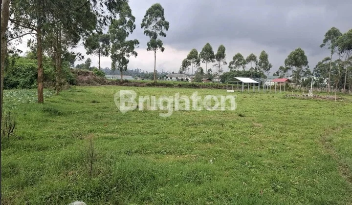 Lahan Strategis 4.890 M², Surat SHM, Ideal untuk Investasi Lahan Strategis 4.890 M², Surat SHM, Ideal untuk Investasi