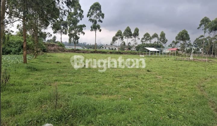 Lahan Strategis 4.890 M², Surat SHM, Ideal untuk Investasi