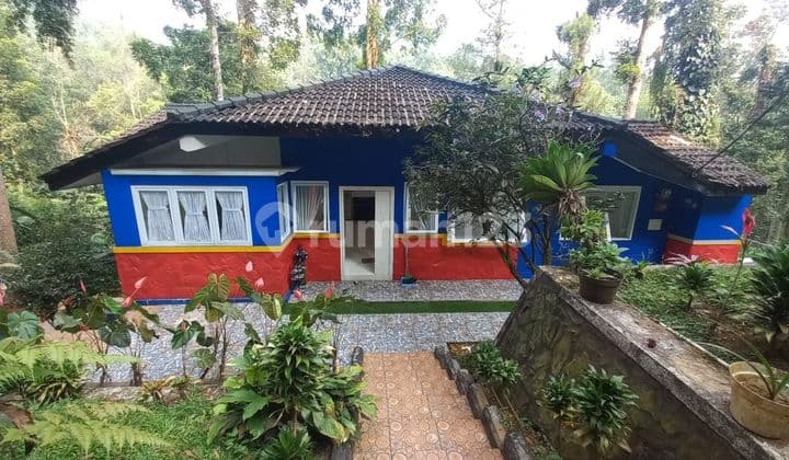 Stay Like In A Fairyland – 3-Story Villa by the Pine Forest Edge, Puncak, A Smart Investment